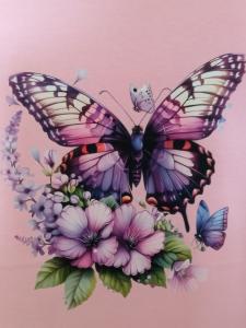 Triko dámské orchid s motivem "Motýl fialkový"